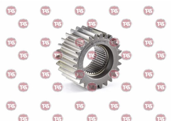 دنده وسط شابگاهی سر پلوس توپی طلا 382 TAS